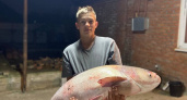 14-летний парень из Славянска-на-Кубани выловил гигантского толстолобика весом 19 килограмм