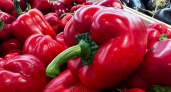 Перцы-гиганты до 800 г: самые огромные и урожайные - 3 самых удачных сорта  