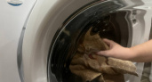 Даже не предполагала, что многие и не знают, что они неправильно стирают: вот частые 3 ошибки при стирке, которые допускают почти все
