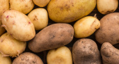 4 сорта картофеля, которые нужно избегать: вкус – "картон", а урожай такой, что хочется над ним поплакать