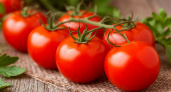 Для ленивых дачников – самое то: только этот сорт томатов гарантирует всхожесть 100% и легко переносит пересадки