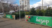 В Новороссийске с 15 декабря начнут продавать живые елки: адреса базаров