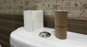 Втулки от туалетной бумаги берегу как зеницу ока: вот как их использую – лайфхак