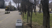 В Новороссийске появятся новые тенистые зоны для отдыха 