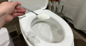 Забудьте про химию: всего 1 ложку  соли в унитаз — секрет идеальной чистоты