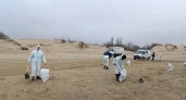 Шторм поднял со дна старый мазут: на пляжах Анапы и под Темрюком началась зачистка