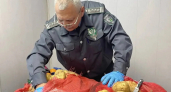В новороссийском порту задержали 27 тонн египетской картошки с опасным вредителем