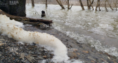 На берегах Неберджаевского водохранилища под Новороссийском появилась белая пена: мнение эколога 