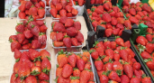 Налетайте! На рынках Новороссийска рухнули цены на клубнику