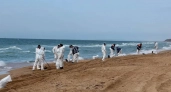 Чистое море: с пляжей Краснодарского края вывезли 185 тысяч тонн мазута