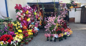 Тюльпаны от 100 рублей: в Новороссийске в преддверии Радоницы цены на искусственные цветы для кладбищ сравнялись со стоимостью живых 