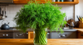Ресторанная магия: обычная зелень останется хрустящей 14 дней — шеф-повар раскрыл секрет