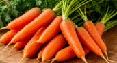 15 кг “карамельной” моркови с грядки: секрет агронома, который работае