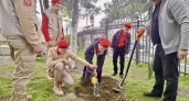 В Новороссийске высадили более 80 саженцев в рамках проекта «Укоренись в Новороссийске»