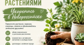 Пора укореняться! В Новороссийске пройдёт фестиваль обмена растениями 