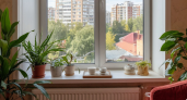 Пластик на окнах пожелтел? Народный совет, как вернуть белизну дёшево и без химии