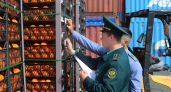 Вся партия будет уничтожена: 842 тонны мандаринов из Кипра под видом турецких пытались ввезти в Новороссийск