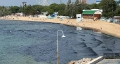 В Анапе 49 пляжей получили разрешения Роспотребнадзора