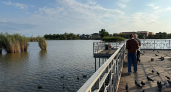 Жаркий финиш недели: на Кубани столбики термометров доползут до +31°, но не обойдется без «сюрпризов» 