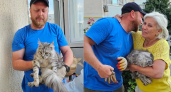 Спасатели Новороссийска помогли коту, упавшему с шестого этажа