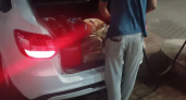 «Все равны, но некоторые равнее»: в Новороссийске можно заправлять бензин и вне очереди, и в канистры, но только избранным