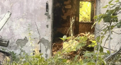 «Крысы размером с кошку»: жители улицы Рубина в Новороссийске бьют тревогу из-за антисанитарии, которую развели маргиналы в заброшке