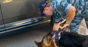 Жителя Новороссийска осудят за удар по капоту чужого авто