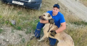 В Новороссийске сбежавшая собака обмотала цепь вокруг дерева и оказалась в ловушке: на помощь пришли спасатели 
