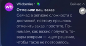 Wildberries начал отменять заказы: что случилось с доставкой