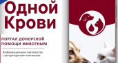 «Хвостатый донор»: в России запустили базу крови для кошек и собак