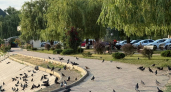До +39°: экстремальная жара ожидается на Кубани 23 августа