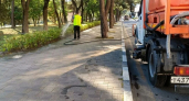Власти Новороссийска «уступили» природе и горожанам: теперь поливать растения в паковой аллее будут раз в неделю 
