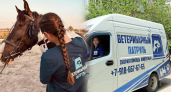 «Ветеринарный патруль» в Новороссийске: единственная скорая для животных с реанимобилем