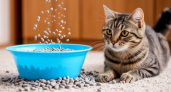 Скупаю в Фикс Прайс силикагель для кошачьего лотка, но кота у меня нет: 5 идей для экономии в быту