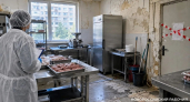Адская антисанитария: после вспышки кишечной инфекции мясной цех в Новороссийске закрыли на 60 суток 