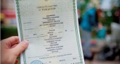 Новороссийцы теперь могут показывать свидетельство о рождении ребёнка с телефона: как работает «Цифровой ID» в MAX 