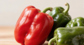 Как хранить перец: 12 способов, чтобы наслаждаться вкусом до весны