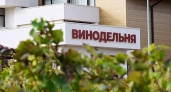 «Восемь номеров — это не энотуризм»: эксперт рассказал, чего не хватает винному туризму в Новороссийске