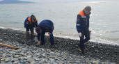 Спасатели Новороссийска и работники пляжа «Алексино» занялись очисткой береговой полосы от кусков мазута