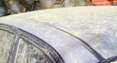 В Геленджике автомобили покрылись толстым слоем зеленой пыли