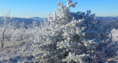 «Царство Снежной королевы»: деревья в горах в окрестностях Новороссийска сковал лед