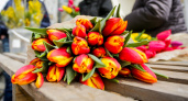 В Новороссийске к 8 марта откроются цветочные ярмарки: где купить праздничные букеты?