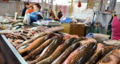 В Новороссийске может появиться рыбный рынок с местным уловом и доступными ценами