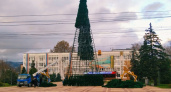 В Новороссийске устанавливают главную елку. Как выглядят зеленые красавицы в других городах Черноморского побережья?