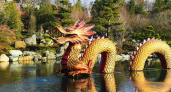 По зеркальному пруду Кагамиикэ в Японском саду уже поплыл дракон 