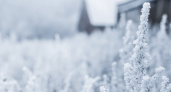 Лютая зима: в Краснодарском крае рухнут температуры
