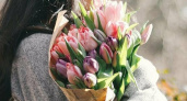 Плюшевый скорпион, любовь и цветы: что хотят получить жительницы Новороссийска на 8 Марта