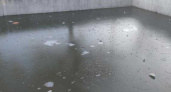 "Ну почему люди такие свиньи?!": новороссийцы закидали мусором замерзший пруд в парке Фрунзе