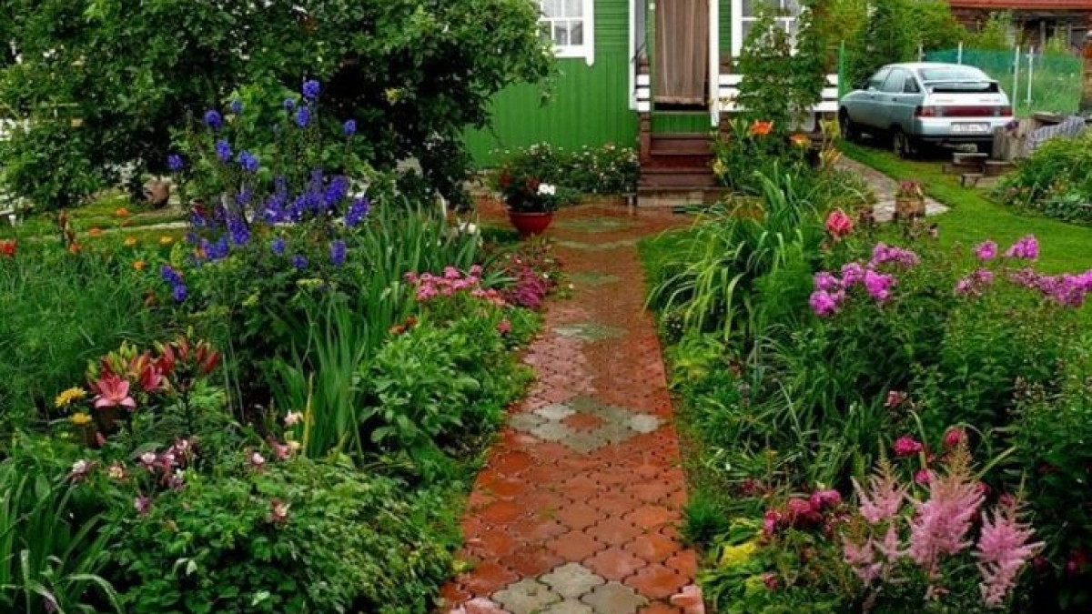 Две горсти этих цветов — и ваша почва станет плодороднее чернозема, а вредители исчезнут