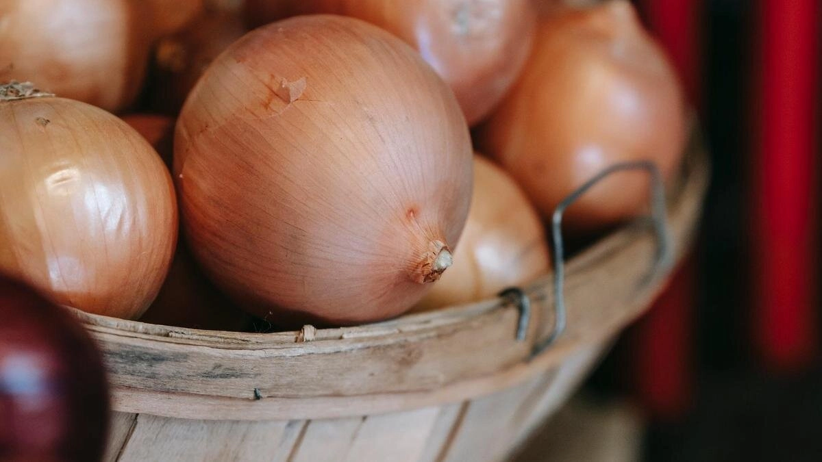 Сохраните лук до весны: идеальный способ просушки после уборки урожая 